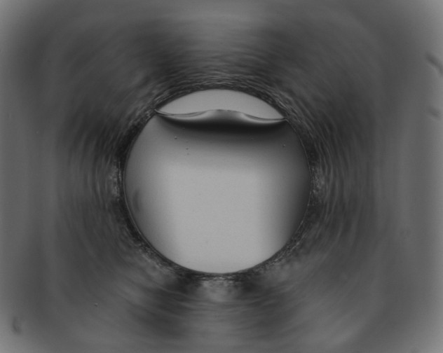 X0000091730470200709211023