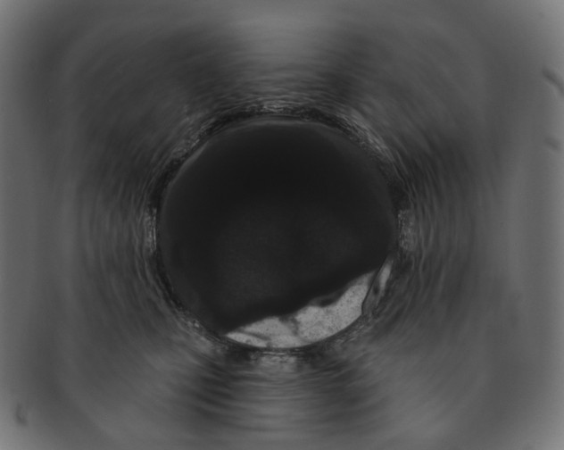 X0000091730471200709211023