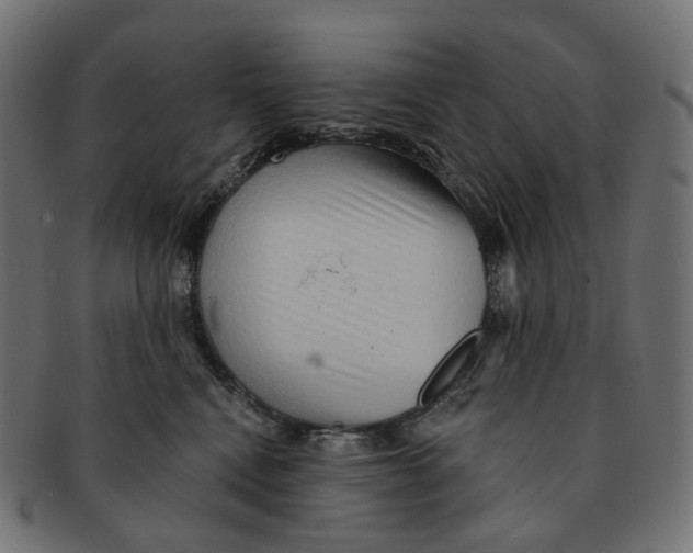 X0000091730472200709211023