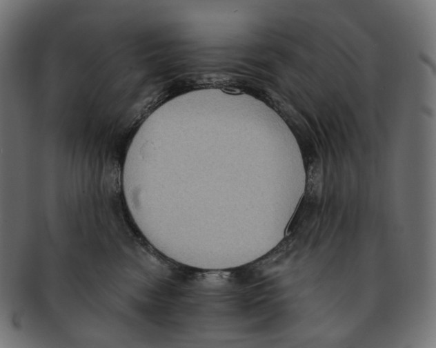 X0000091730474200709211023