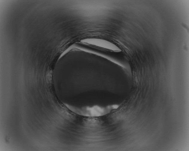 X0000091730475200709211023