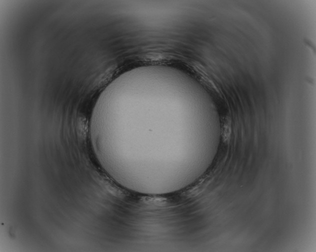 X0000091730476200709211023