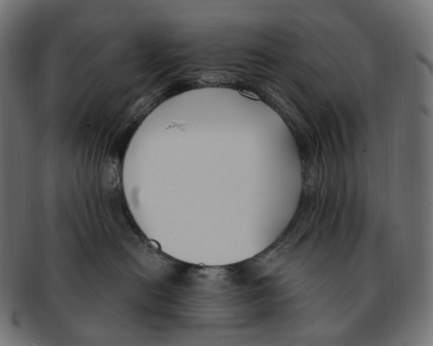 X0000091730478200709211023