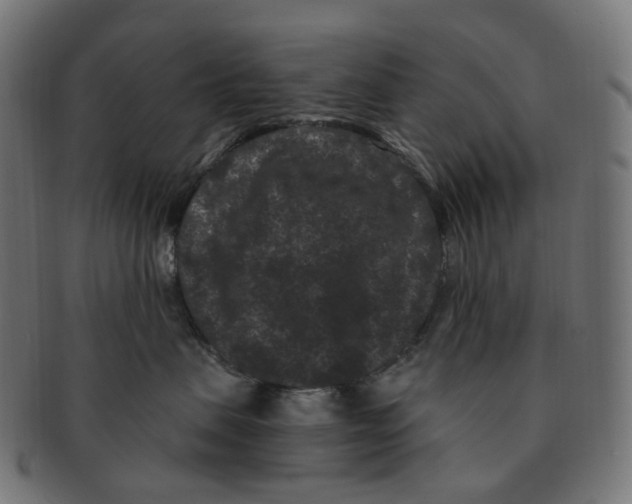 X0000091730479200709211023