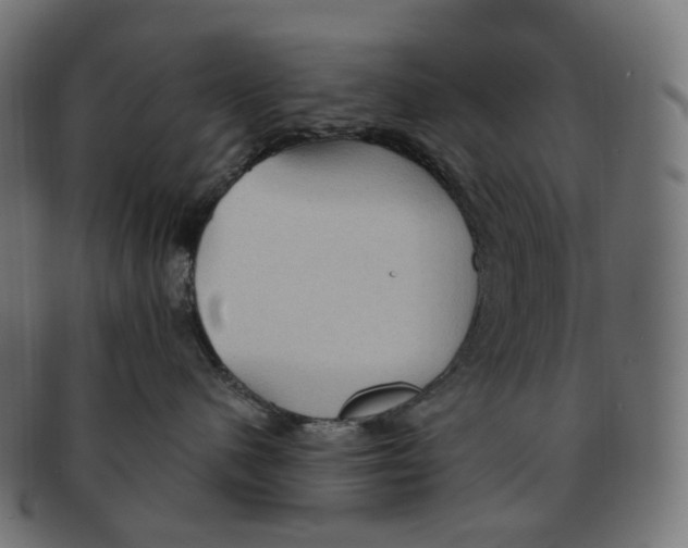 X0000091730480200709211023