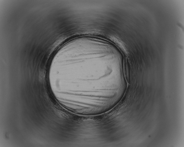 X0000091730483200709211023