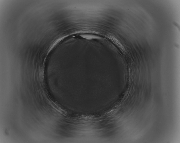 X0000091730484200709211023