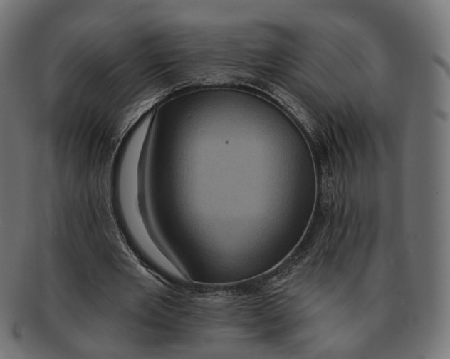 X0000091730485200709211023