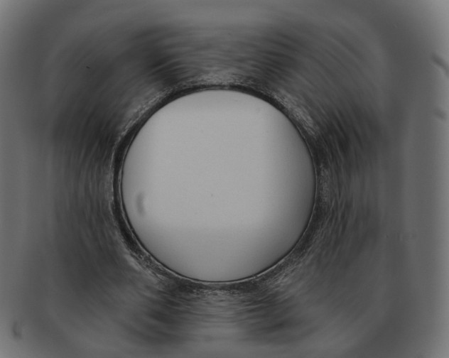 X0000091730486200709211023