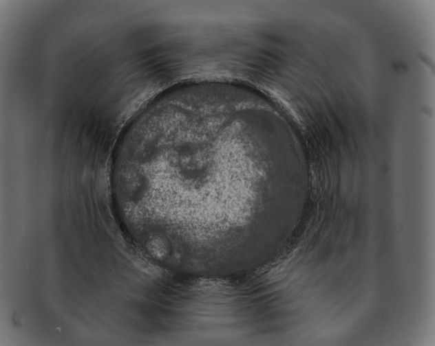 X0000091730487200709211023