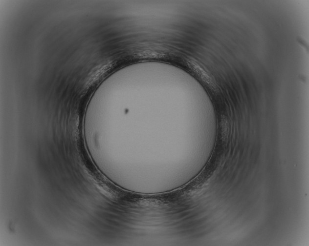 X0000091730490200709211023