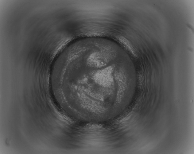 X0000091730491200709211023