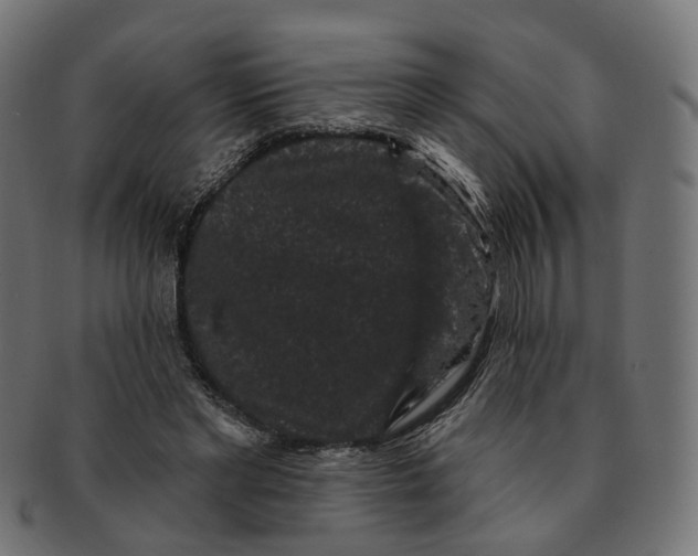 X0000091730493200709211023