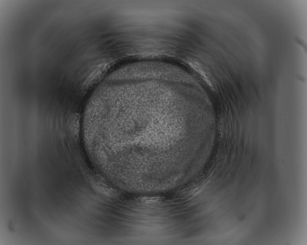 X0000091730495200709211023