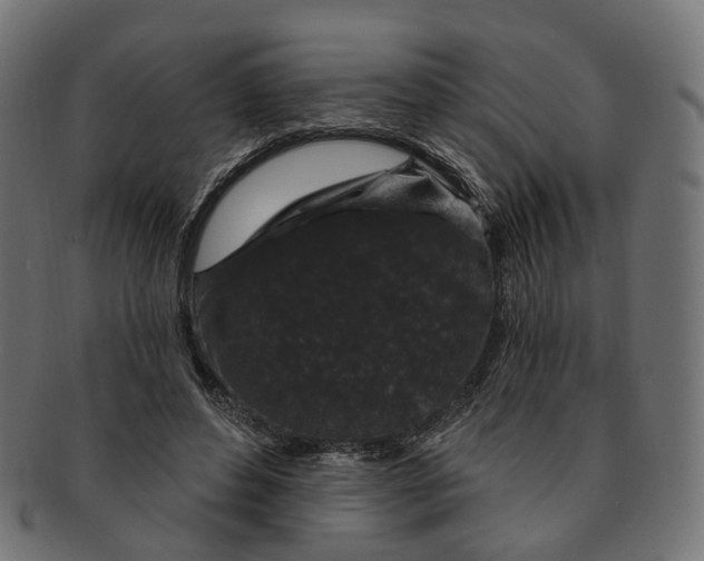 X0000091730496200709211023