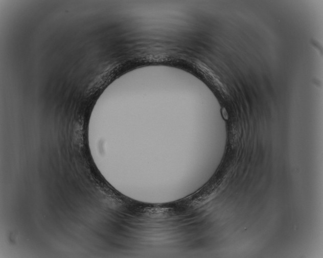 X0000091730497200709211023