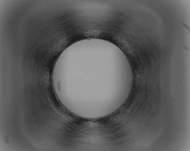 X0000091730498200709211023