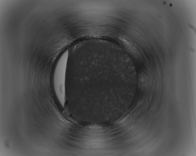 X0000091730500200709211023