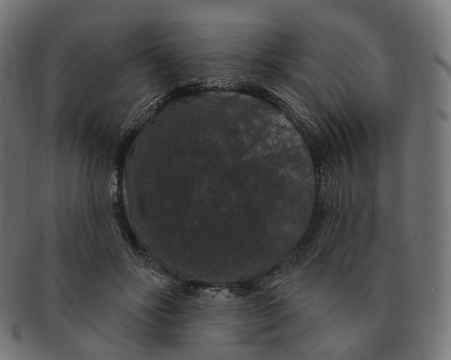 X0000091730502200709211023