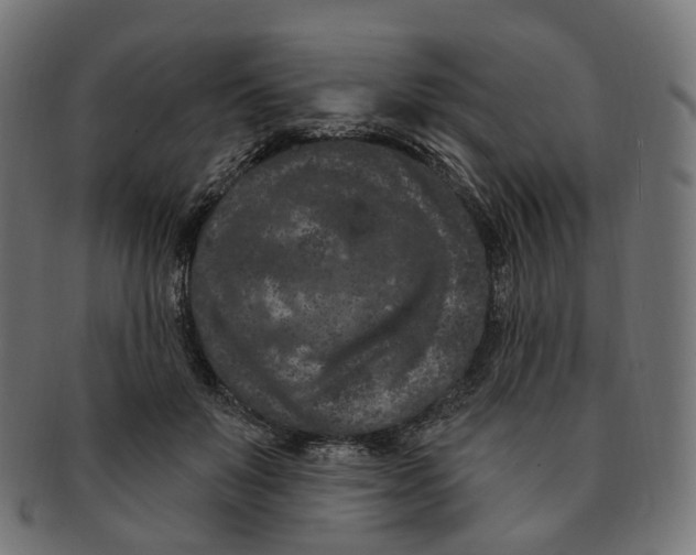 X0000091730503200709211023