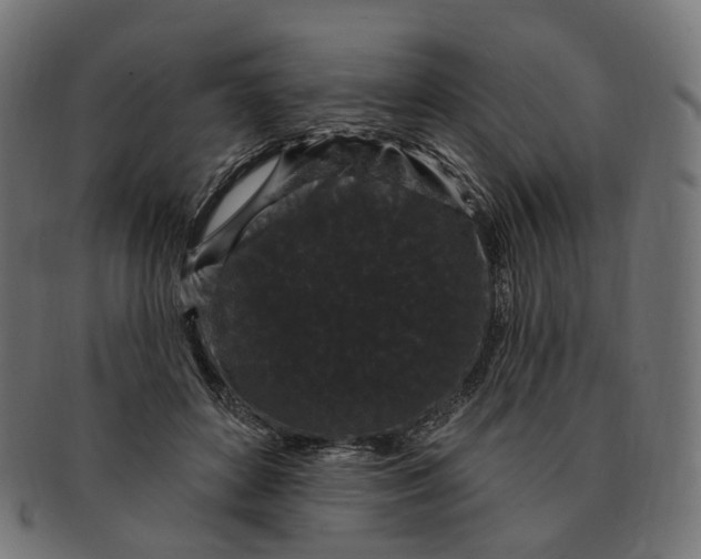 X0000091730504200709211023