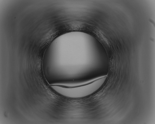 X0000091730505200709211022