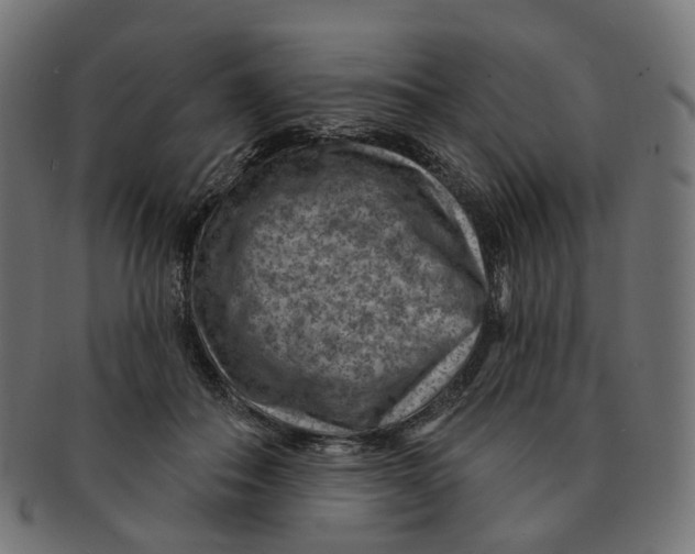 X0000091730506200709211022