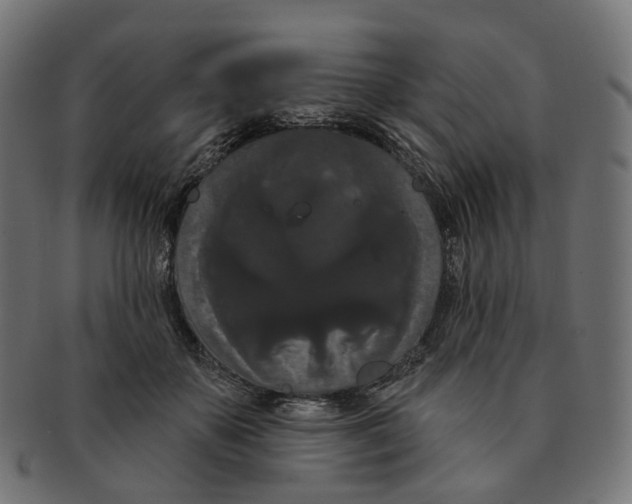 X0000091730507200709211022