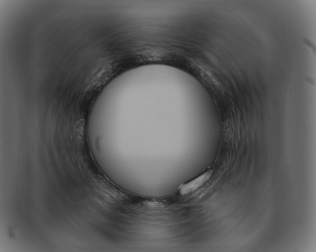 X0000091730509200709211022