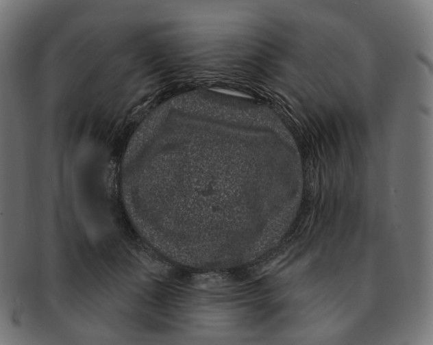 X0000091730511200709211022