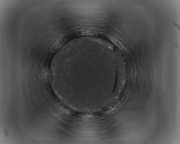 X0000091730513200709211022