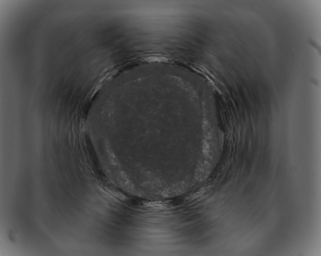 X0000091730516200709211022