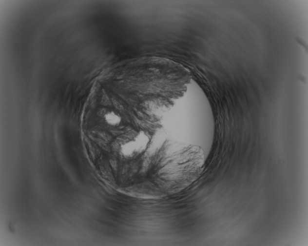 X0000091730519200709211022