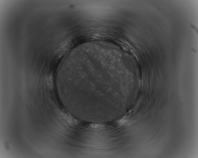 X0000091730520200709211022