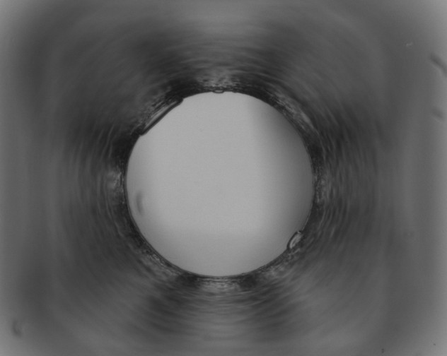 X0000091730521200709211022