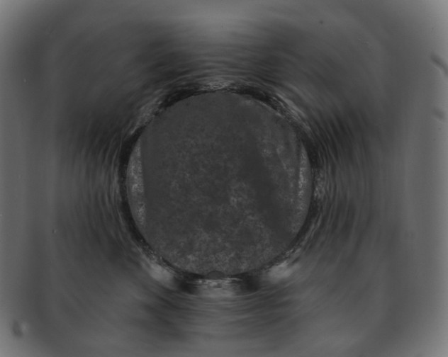 X0000091730524200709211022