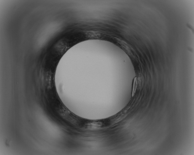 X0000091730525200709211022