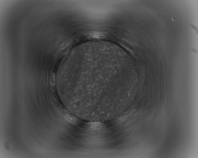 X0000091730528200709211022