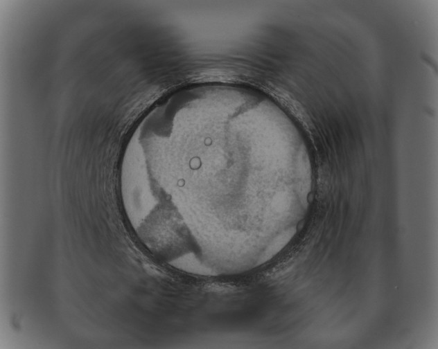 X0000091730529200709211021