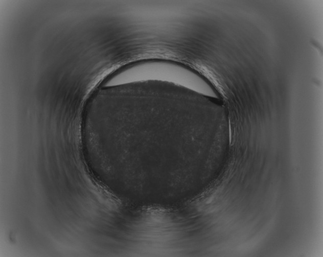 X0000091730531200709211022