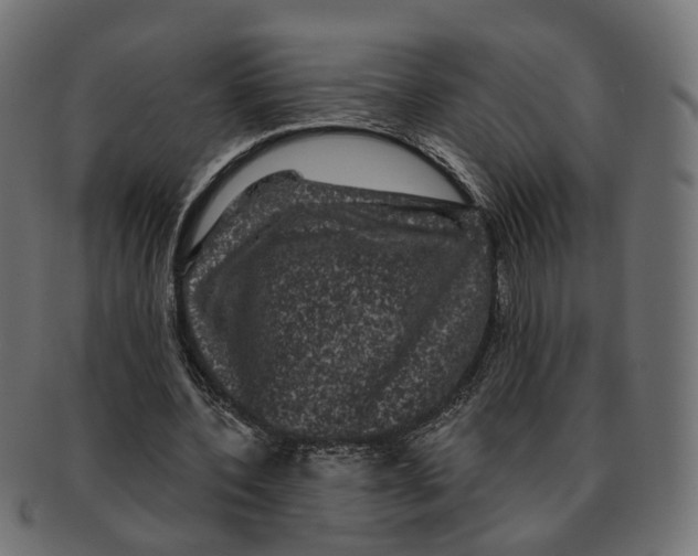 X0000091730532200709211022