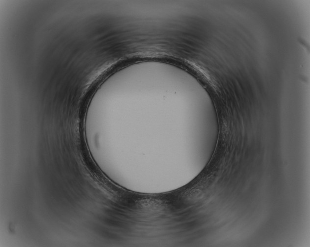 X0000091730535200709211022