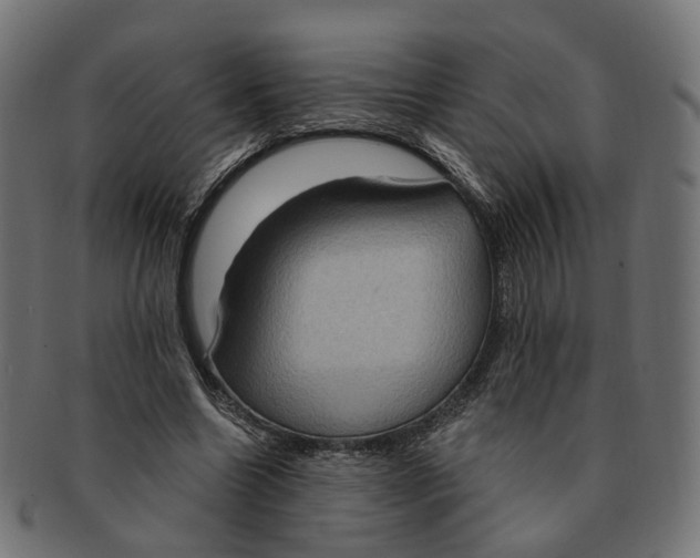 X0000091730538200709211022