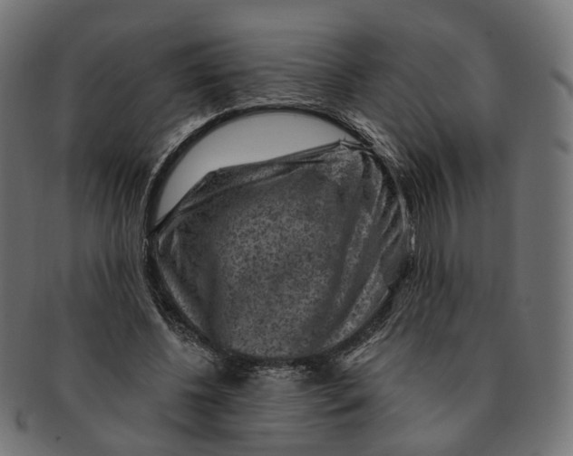 X0000091730540200709211022