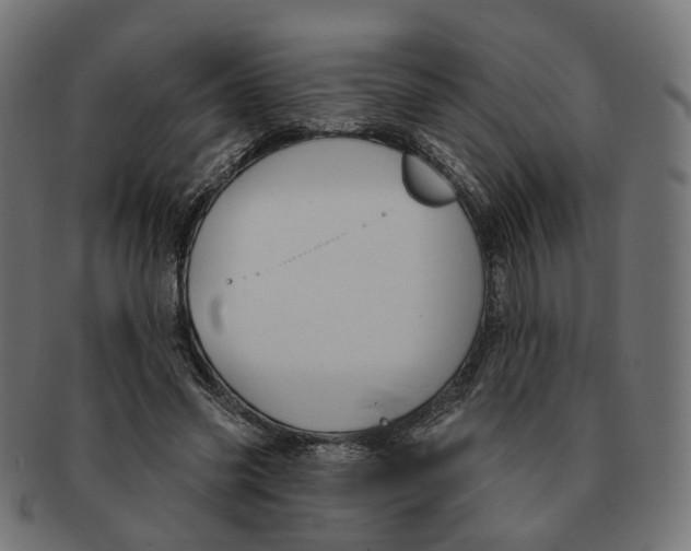 X0000091730541200709211022