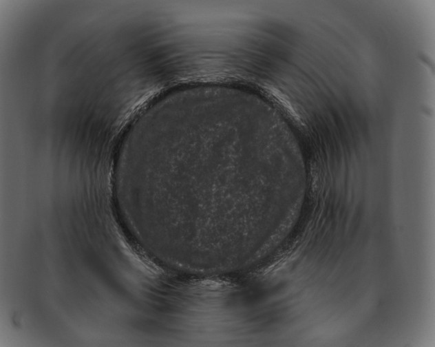 X0000091730542200709211022