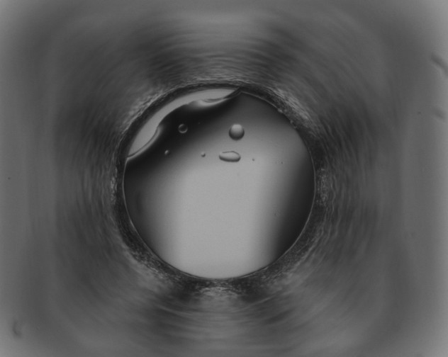 X0000091730544200709211022