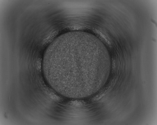 X0000091730545200709211022