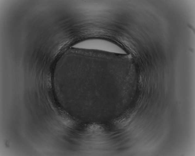 X0000091730547200709211022