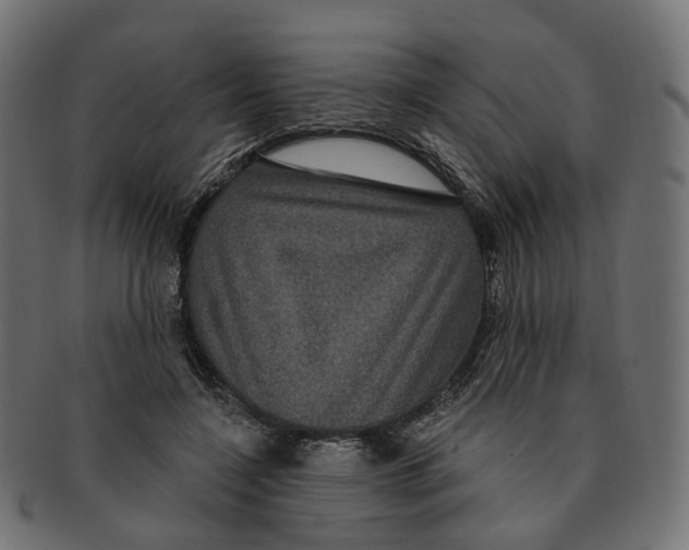 X0000091730548200709211022